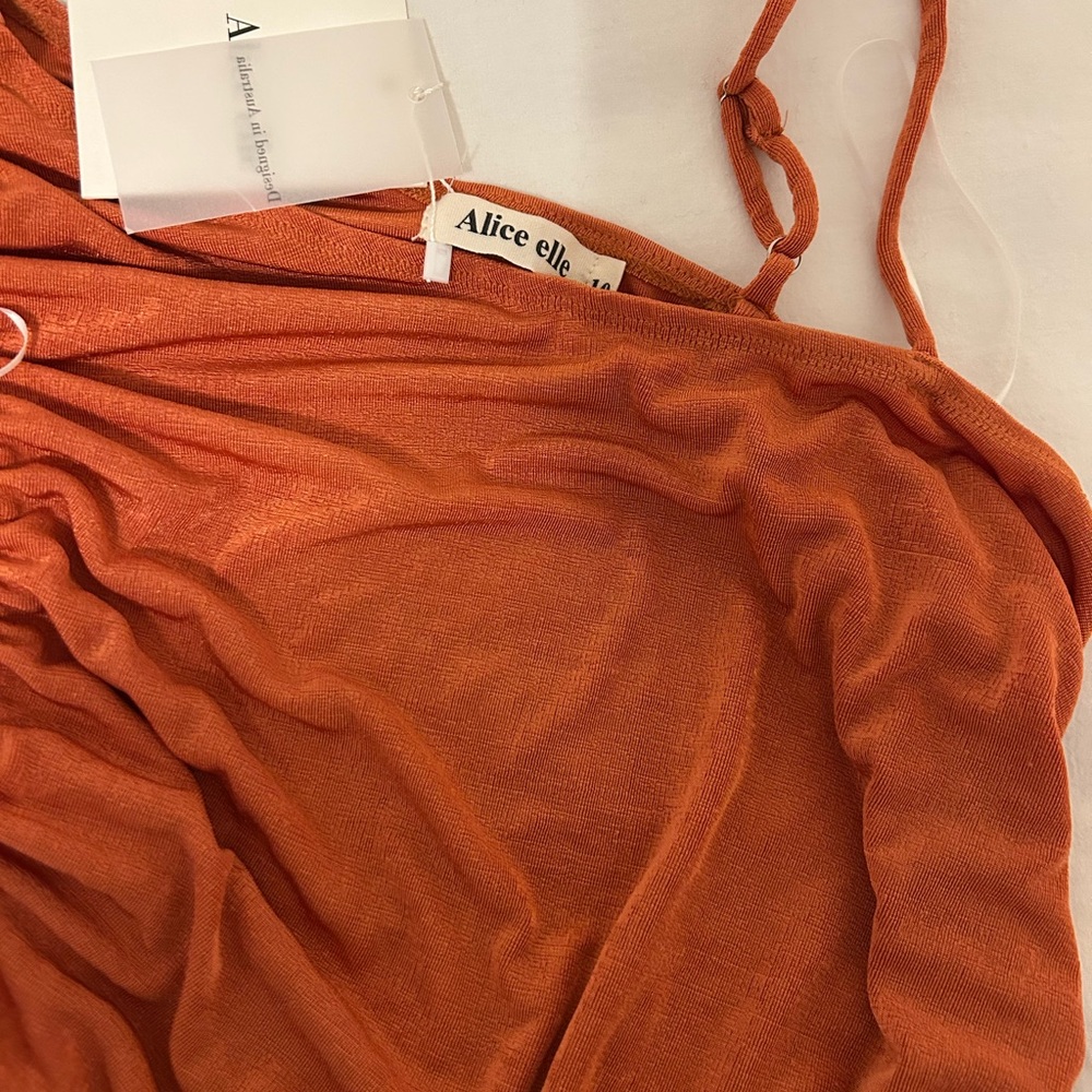 Rust Orange Ruched Dress - Picture 3 of 3
